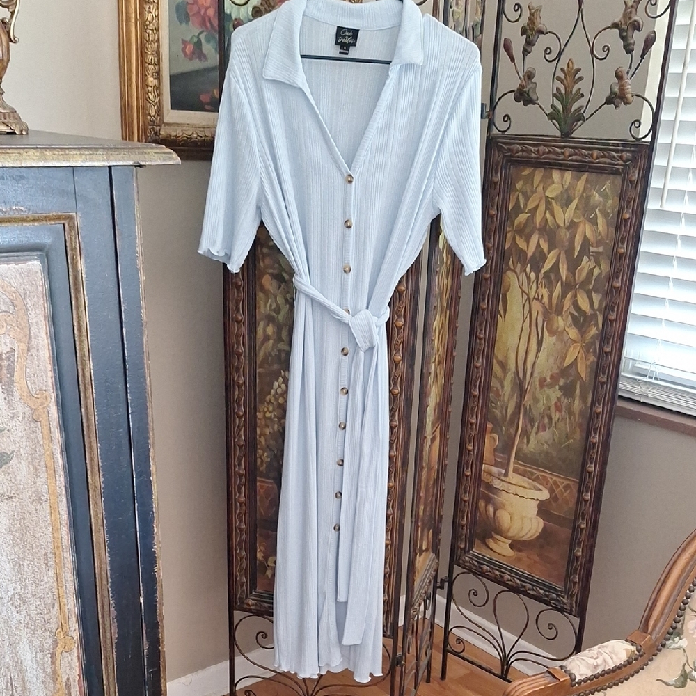 Light Blue Button-Down Maxi  Dress